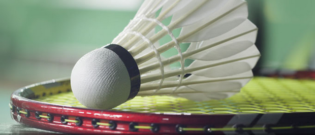 获得成功的 获得成功的